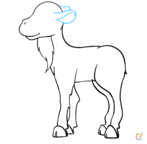 How to draw a goat