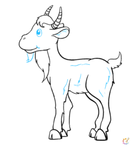 How to draw a goat