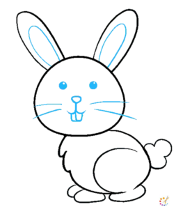 How to draw a Rabbit