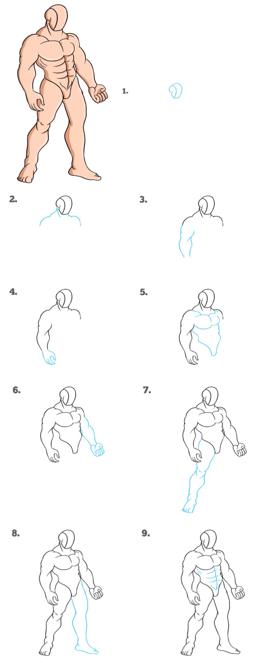 How to draw muscle