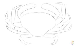 How to draw a crab