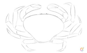 How to draw a crab