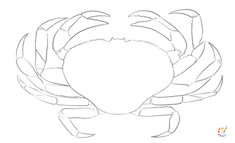 How to Draw a Crab Step By Step – For Kids & Beginners