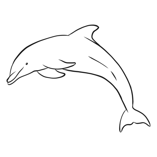 Dolphin drawing png