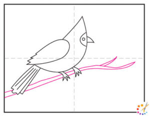 How to draw a cardinal