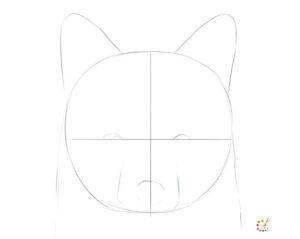 How to draw a fox