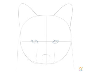 How to draw a fox