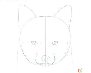 How to draw a fox