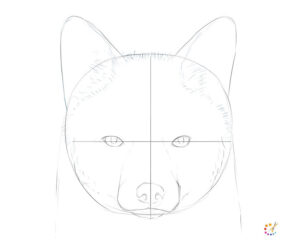 How to draw a fox