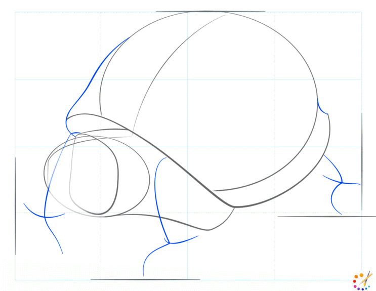 How to draw turtle