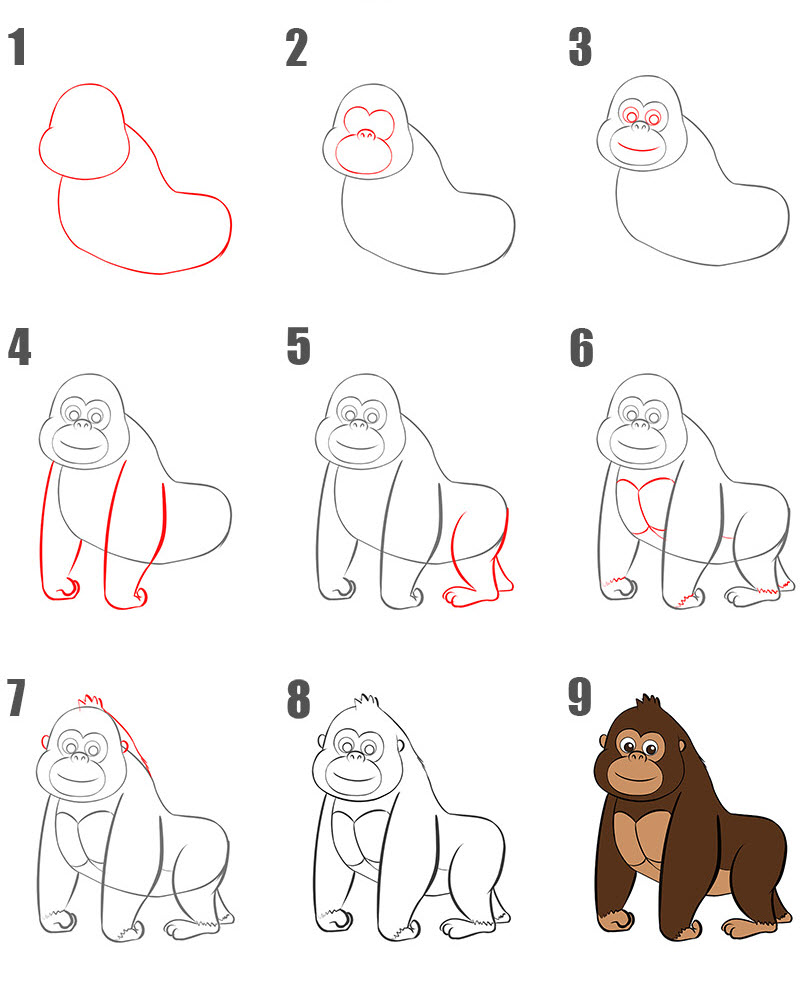 How to draw Gorilla