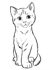 How to draw a cat