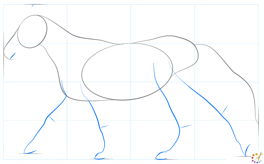 How to draw a horse