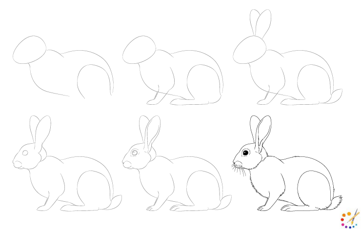 How to draw a Rabbit