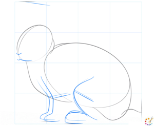 How to draw a Rabbit