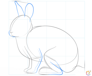 How to draw a Rabbit