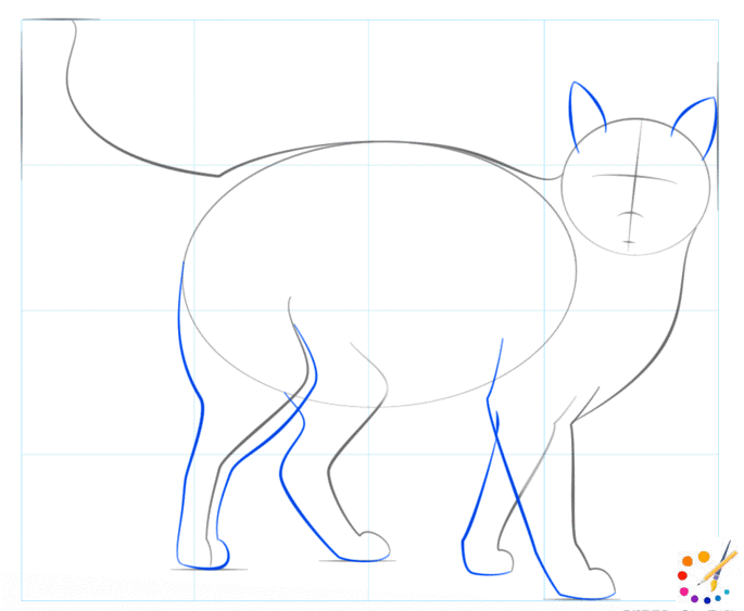 How to draw a cat