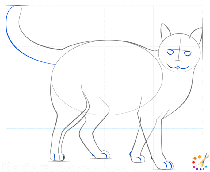 How to draw a cat