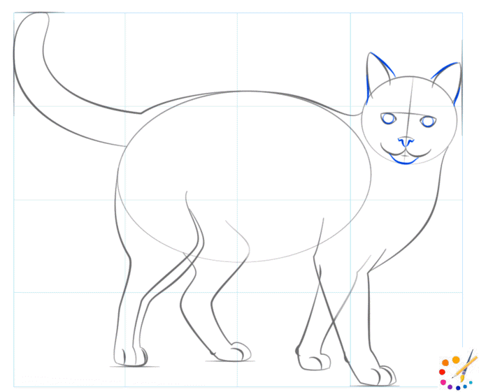 How to draw a cat