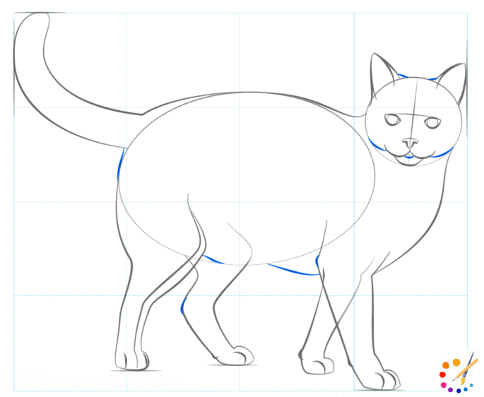 How to draw a cat