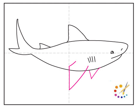 How to draw a shark