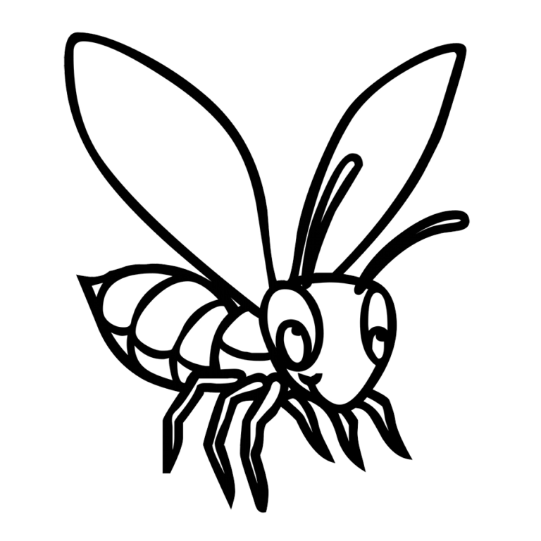 How to Draw a Bee Step By Step – For Kids & Beginners
