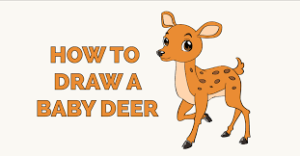 How to draw deer