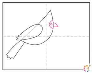 How to draw a cardinal