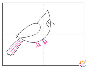 How to draw a cardinal