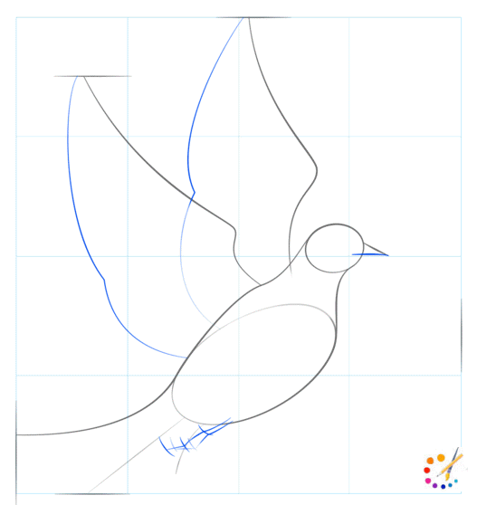 How to draw a dove