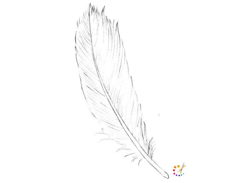 Faether Example Drawing How to Draw a Feather Step By Step – For Kids & Beginners