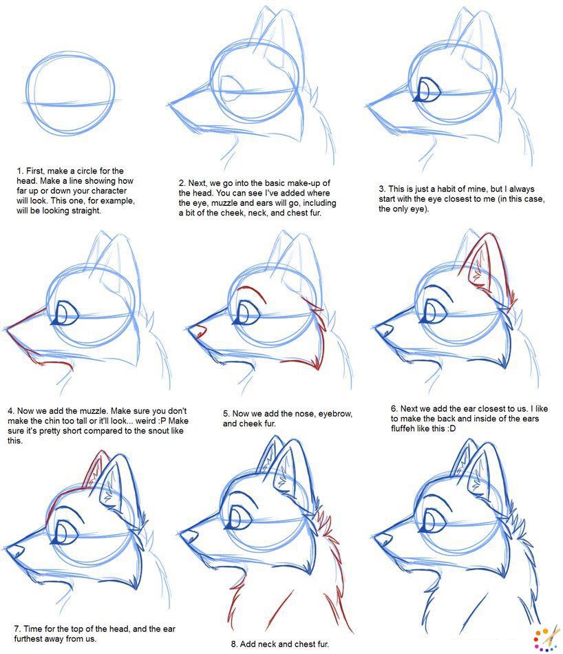 How to draw a Furries