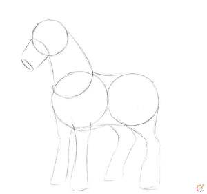 How to draw a horse