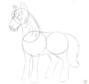 How to draw a horse