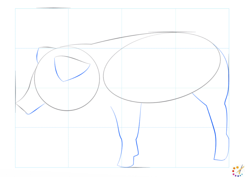 How to draw a Pig