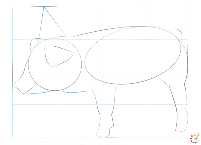 How to draw a Pig