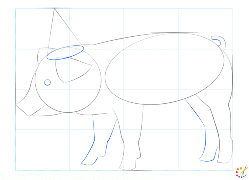 How to draw a Pig