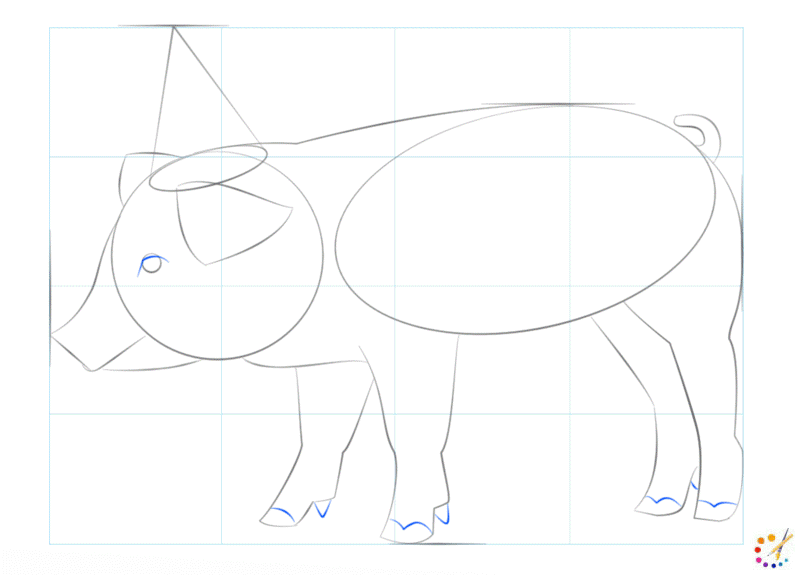 How to draw a Pig