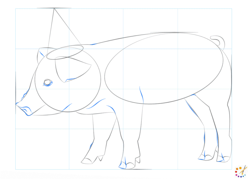 How to draw a Pig