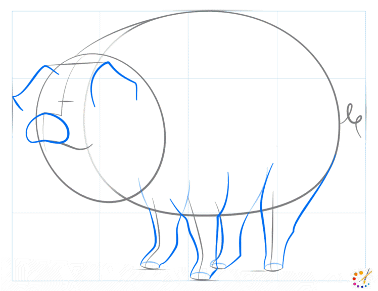 How to draw a Pig