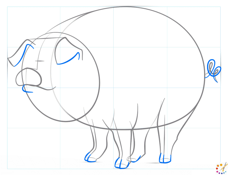 How to draw a Pig