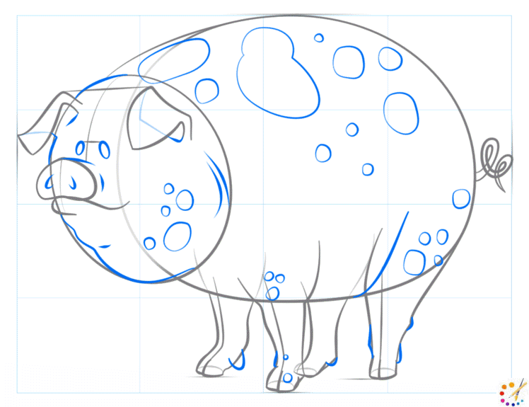 How to draw a Pig