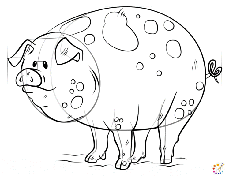 How to draw a Pig