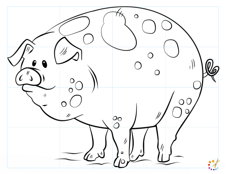 How to draw a Pig