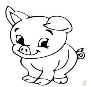 How to draw a Pig