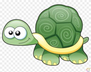 How to draw turtle