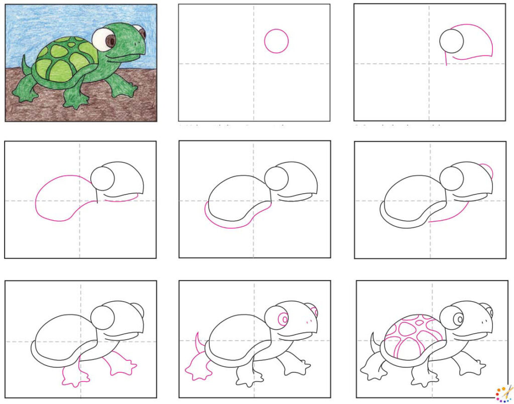 How to draw turtle