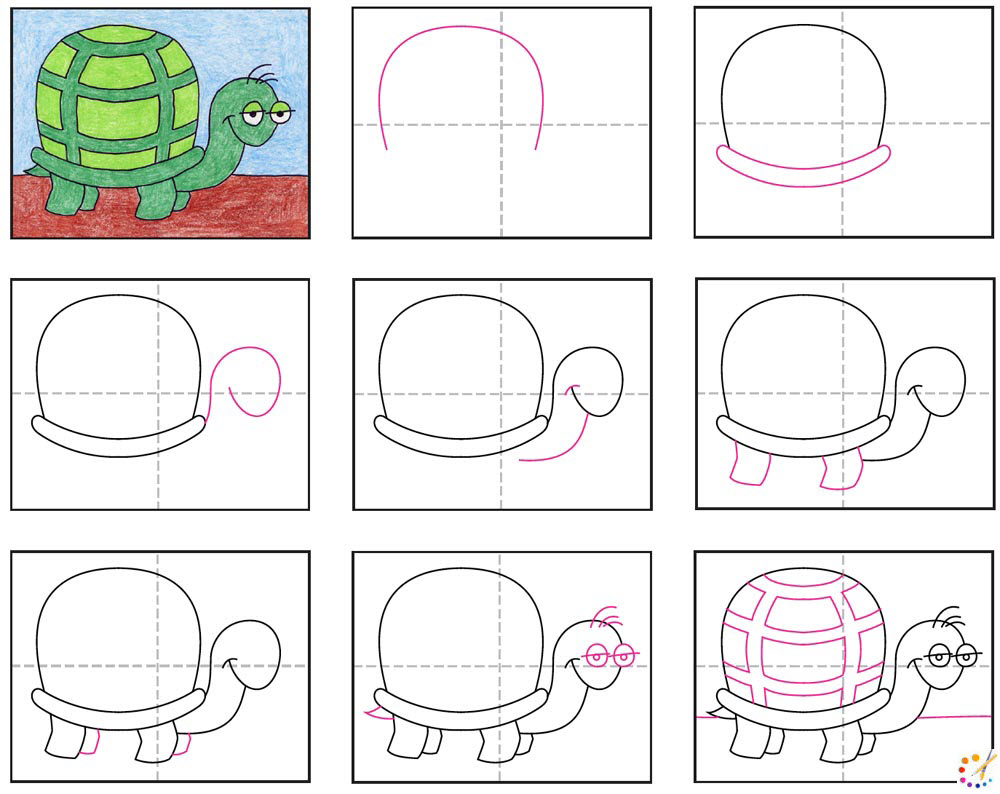 How to draw turtle