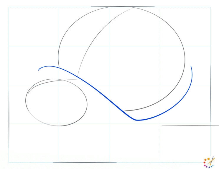 How to draw turtle