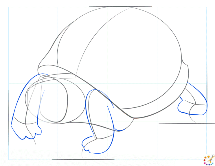 How to draw turtle